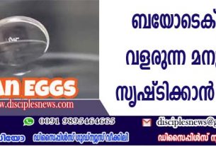 ബയോടെക് ലാബില്‍ വളരുന്ന മനുഷ്യ മുട്ടകള്‍ സൃഷ്ടിക്കാന്‍ ഗവേഷകര്‍