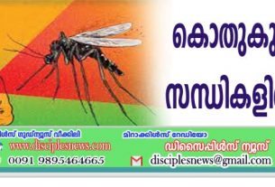 കൊതുകു കടിമൂലം സന്ധികളിലെ വേദന