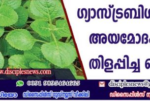ഗ്യാസ്ട്രബിള്‍ മാറാന്‍ അയമോദക ഇല തിളപ്പിച്ച വെള്ളം