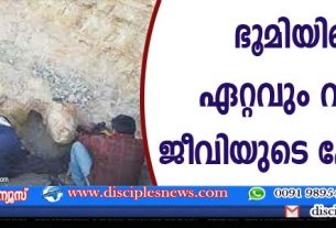 ഭൂമിയിലെ ഏറ്റവും വലിയ ജീവിയുടെ ഫോസില്‍ കണ്ടെത്തിയെന്ന് ഗവേഷകര്‍