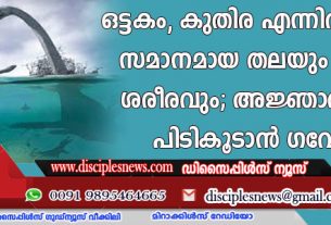 അജ്ഞാത ജീവിയെ പിടികൂടാന്‍ ഗവേഷകര്‍
