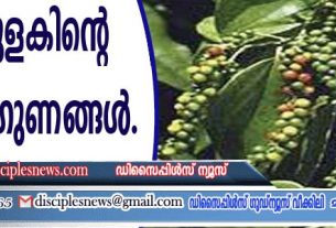 കുരുമുളകിന്റെ ഔഷധ ഗുണങ്ങള്‍