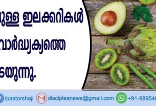 പച്ചനിറത്തിലുള്ള ഇലക്കറികള്‍ അകാല വാര്‍ദ്ധ്യക്യത്തെ തടയുന്നു