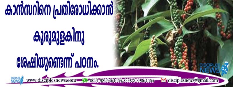 കാന്‍സറിനെ പ്രതിരോധിക്കാന്‍ കുരുമുളകിനു ശേഷിയുണ്ടെന്ന് പഠനം