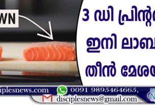 3 ഡി പ്രിന്റഡ് മത്സ്യം ഇനി ലാബില്‍ നിന്നു തീന്‍മേശയിലേക്ക്
