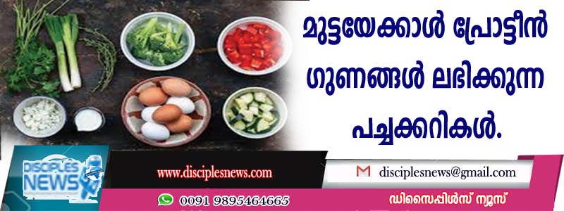 മുട്ടയേക്കാള്‍ പ്രോട്ടീന്‍ ഗുണങ്ങള്‍ ലഭിക്കുന്ന പച്ചക്കറികള്‍
