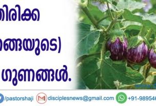 കത്തിരിക്ക (വഴുതനങ്ങയുടെ) ആരോഗ്യ ഗുണങ്ങള്‍