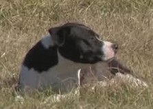 ക്യാൻസർ അതിജീവന നിരക്ക് റെക്കോർഡ് ഉയരത്തിൽ