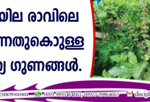 തുളസിയില രാവിലെ കഴിക്കുന്നതുകൊണ്ടുള്ള ആരോഗ്യ ഗുണങ്ങള്‍