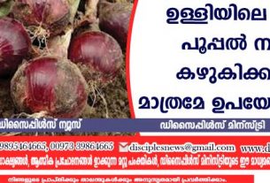 Black mold on onions can only be used after washing them thoroughly.