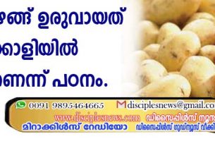 ഉരുളക്കിഴങ്ങ് ഉണ്ടായത് തക്കാളിയില്‍നിന്നാണെന്ന് പഠനം