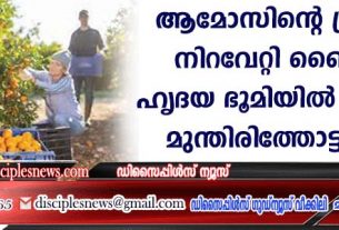 ആമോസിന്റെ പ്രവചനം നിറവേറ്റിക്കൊണ്ട് ബൈബിള്‍ ഹൃദയ ഭൂമിയില്‍ കൃഷിയും മുന്തിരിത്തോട്ടങ്ങളും