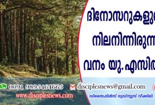 ദിനോസറുകളുടെ കാലത്തു നിലനിന്നിരുന്ന പുരാതന വനം യു.എസില്‍ ഗവേഷകര്‍ കണ്ടെത്തി