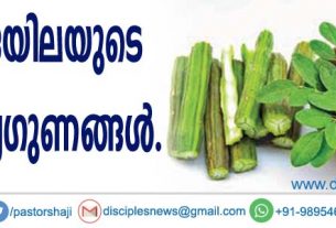 മുരിങ്ങയിലയുടെ ആരോഗ്യ ഗുണങ്ങള്‍