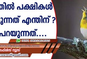 പ്രഭാതത്തില്‍ പക്ഷികള്‍ പാട്ടു പാടുന്നത് എന്തിന്? പഠനം പറയുന്നത്....