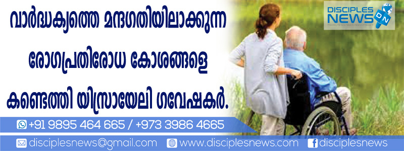 വാര്‍ദ്ധക്യത്തെ മന്ദഗതിയിലാക്കുന്ന രോഗപ്രതിരോധ കോശങ്ങളെ കണ്ടെത്തി യിസ്രായേലി ഗവേഷകര്‍