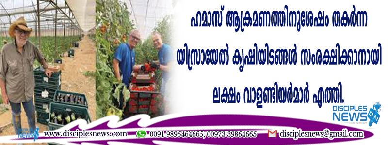 ഹമാസ് ആക്രമണത്തിനുശേഷം തകര്‍ന്ന യിസ്രായേല്‍ കൃഷിയിടങ്ങള്‍ സംരക്ഷിക്കാനായി ലക്ഷം വാളണ്ടിയര്‍മാര്‍ എത്തി