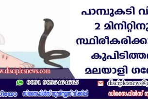 പാമ്പുകടി വിഷബാധ 2 മിനിറ്റിനുള്ളില്‍ സ്ഥിരീകരിക്കാം; പുതിയ കണ്ടുപിടിത്തവുമായി മലയാളി ഗവേഷകന്‍