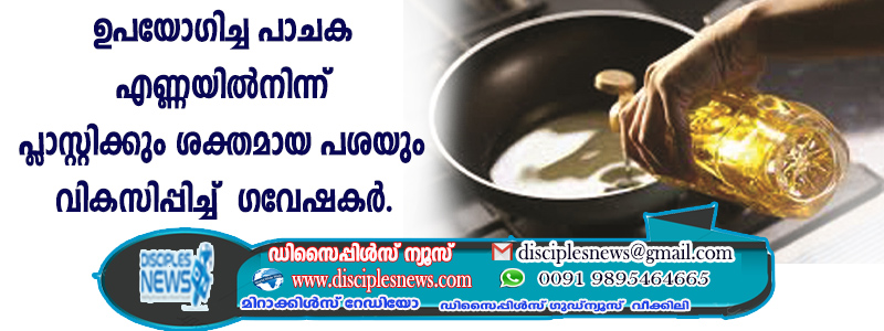 ഉപയോഗിച്ച പാചക എണ്ണയില്‍ നിന്ന് പ്ളാസ്റ്റിക്കും ശക്തമായ പശയും വികസിപ്പിച്ച് ഗവേഷകര്‍