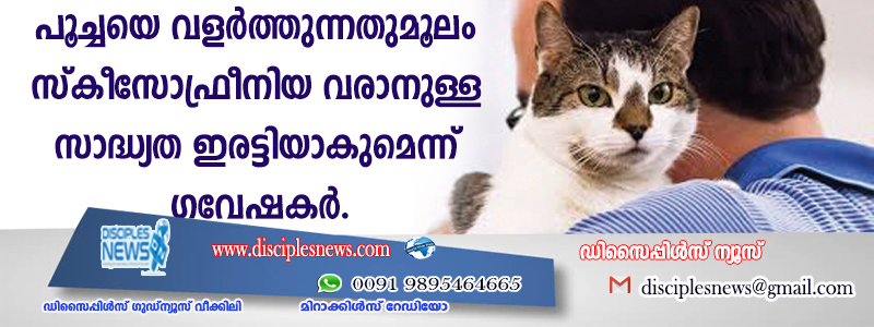 പൂച്ചയെ വളര്‍ത്തുന്നതുമൂലം സ്കീസോഫ്രീനിയ വരാനുള്ള സാദ്ധ്യത ഇരട്ടിയാകുമെന്ന് ഗവേഷകര്‍