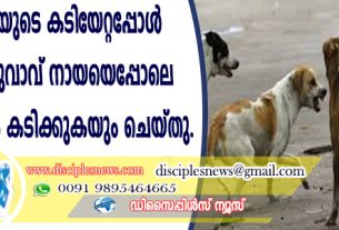 തെരുവു നായയുടെ കടിയേറ്റപ്പോള്‍ അവഗണിച്ച യുവാവ് നായയെപ്പോലെ കുരയ്ക്കുകയും കടിക്കുകയും ചെയ്തു