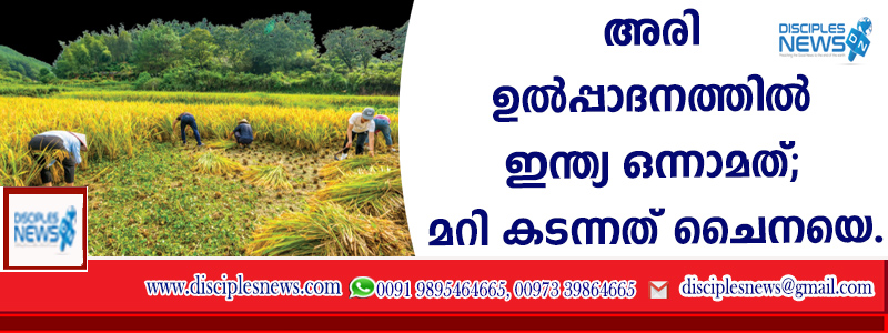 അരി ഉല്‍പ്പാദനത്തില്‍ ഇന്ത്യ ഒന്നാമത്; മറികടന്നത് ചൈനയെ.