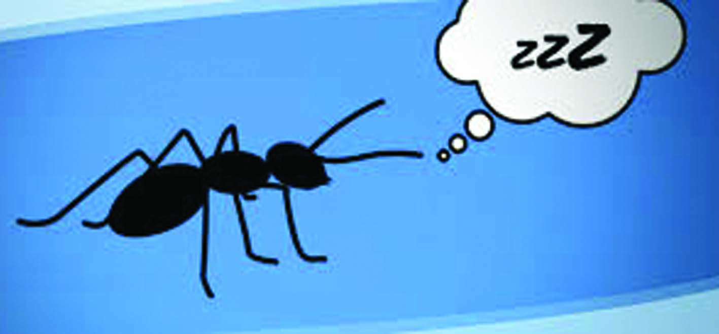 ഒരു മിനിറ്റു മാത്രം ഉറക്കം