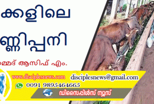 പശുക്കളിലെ പട്ടുണ്ണിപ്പനി