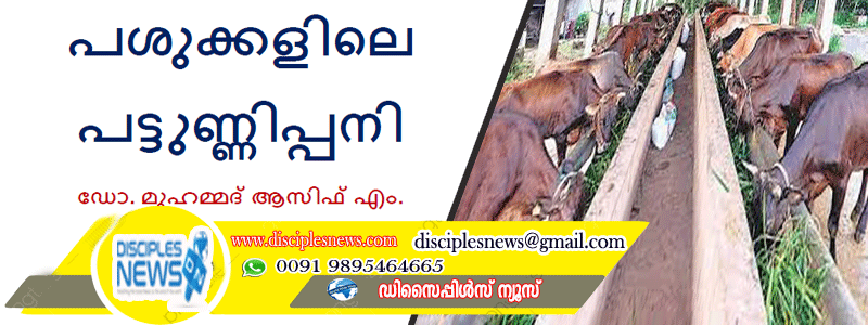 പശുക്കളിലെ പട്ടുണ്ണിപ്പനി