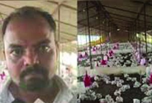 ഡിജെ പാട്ടിന്റെ അമിത ശബ്ദം കേട്ട് ഫാമിലെ 140 കോഴികള്‍ അറ്റാക്ക് വന്നു ചത്തു