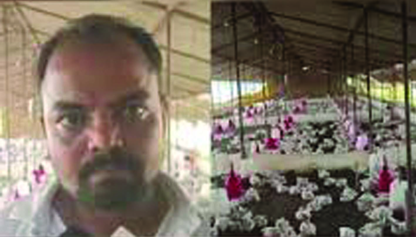 ഡിജെ പാട്ടിന്റെ അമിത ശബ്ദം കേട്ട് ഫാമിലെ 140 കോഴികള്‍ അറ്റാക്ക് വന്നു ചത്തു