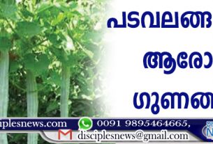 പടവലങ്ങയുടെ ആരോഗ്യ ഗുണങ്ങള്‍