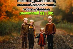 ബൈബിള്‍ വാക്യം ഉപദേശമായി നല്‍കി തെങ്ങ് തര്‍ക്കം തീര്‍പ്പാക്കി ഹൈക്കോടതി