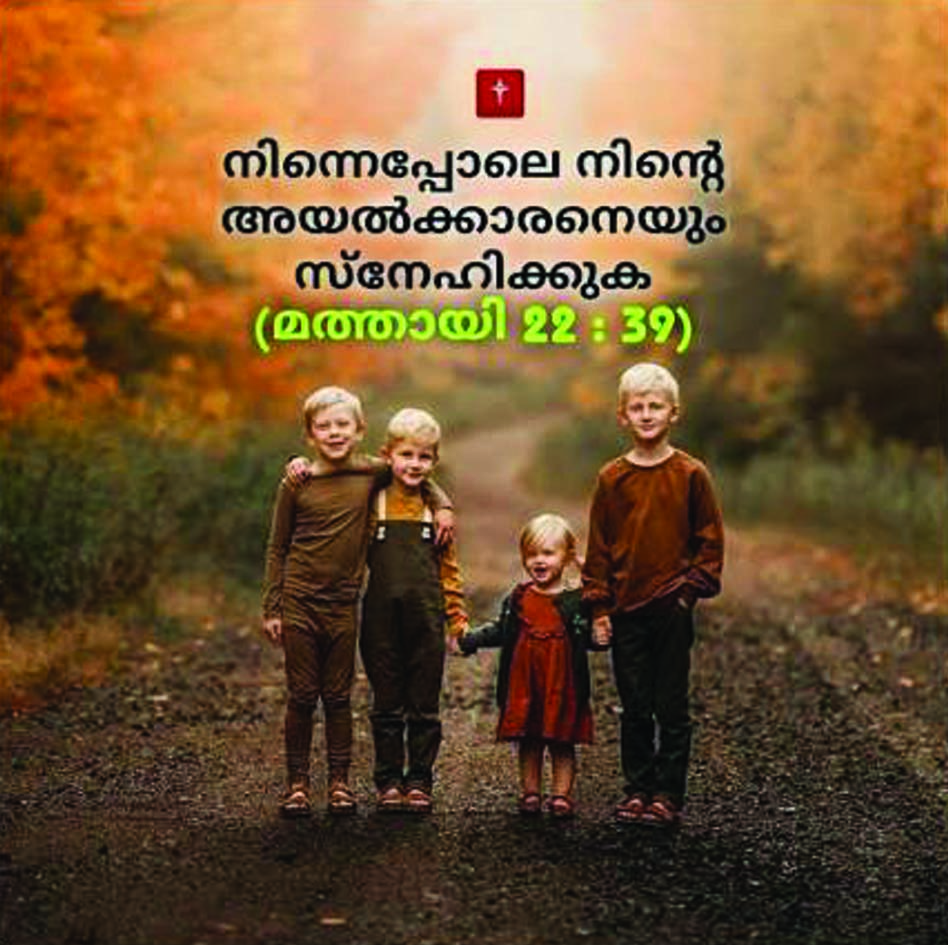 ബൈബിള്‍ വാക്യം ഉപദേശമായി നല്‍കി തെങ്ങ് തര്‍ക്കം തീര്‍പ്പാക്കി ഹൈക്കോടതി