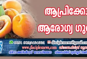 അപ്രിക്കോട്ടിന്റെ ആരോഗ്യ ഗുണങ്ങള്‍