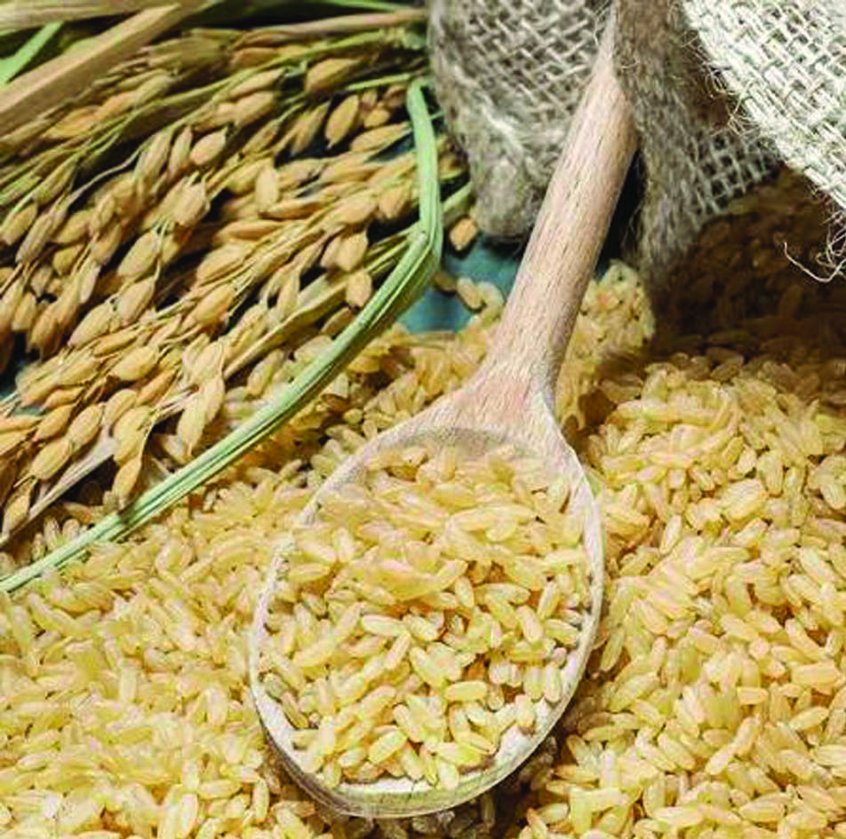 തവിടരിയുടെ ആരോഗ്യ ഗുണങ്ങള്‍