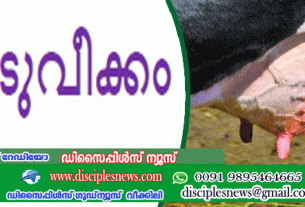 അകിടുവീക്കം