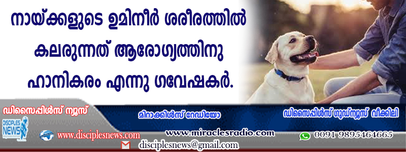 നായ്ക്കളുടെ ഉമിനീര്‍ ശരീരത്തില്‍ കലരുന്നത് ആരോഗ്യത്തിന് ഹാനികരം എന്ന് ഗവേഷകര്‍