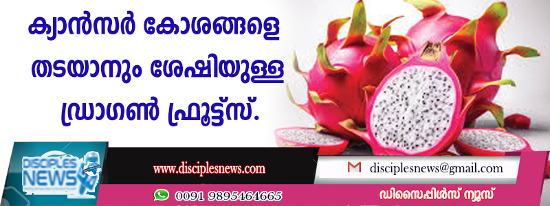 ക്യാന്‍സര്‍ കോശങ്ങളെ തടയാനും ശേഷിയുള്ള ഡ്രാഗണ്‍ ഫ്രൂട്ട്സ്