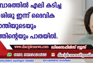 മാലിന്യ കൂമ്പാരത്തില്‍ എലി കടിച്ച നവജാത ശിശു ഇന്ന് ദൈവിക ശാന്തിയുടെയും കാരുണ്യത്തിന്റെയും പാതയില്‍