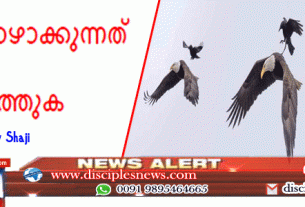 ശത്രു നിങ്ങളുടെ പുറകിലിരുന്ന് കഴുത്തിൽ കടിച്ചേക്കാം സമയം പാഴാക്കുന്നത് നിർത്തുക