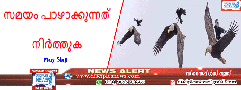 ശത്രു നിങ്ങളുടെ പുറകിലിരുന്ന് കഴുത്തിൽ കടിച്ചേക്കാം സമയം പാഴാക്കുന്നത് നിർത്തുക