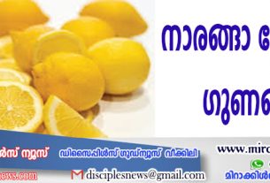 നാരങ്ങാതോടിന്റെ ഗുണങ്ങള്‍
