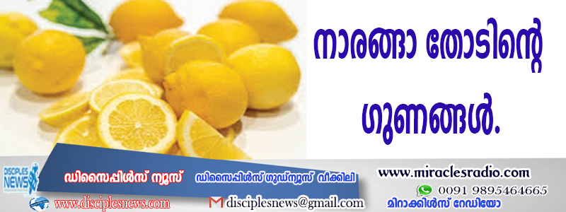 നാരങ്ങാതോടിന്റെ ഗുണങ്ങള്‍