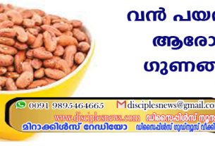 വന്‍പയറിന്റെ ആരോഗ്യ ഗുണങ്ങള്‍
