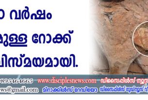 2000 വര്‍ഷം പഴക്കമുള്ള റോക്ക് ആര്‍ട്ട് വിസ്മയമായി