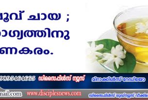 മുല്ലപ്പൂവ് ചായ ഉണ്ടാക്കാം; ആരോഗ്യത്തിനു ഗുണകരം
