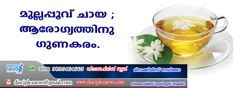 മുല്ലപ്പൂവ് ചായ ഉണ്ടാക്കാം; ആരോഗ്യത്തിനു ഗുണകരം