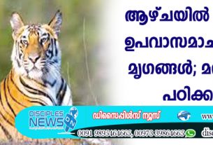 ആഴ്ചയില്‍ ഒരിക്കല്‍ ഉപവാസമാചരിക്കുന്ന മൃഗങ്ങള്‍; മനുഷ്യരും കണ്ടു പഠിക്കാനുണ്ട്