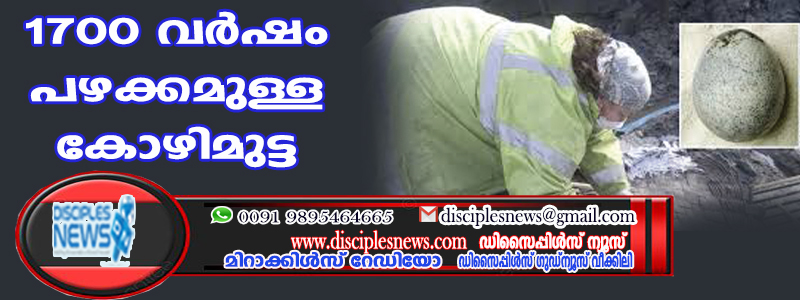 1700 വര്‍ഷം പഴക്കമുള്ള കോഴിമുട്ട കണ്ടെത്തി